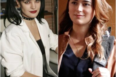 EXCLUSIVE: What Really Went Down Between Pauley Perrette & Cote de Pablo on NCIS — Set Tension, Subtle Jabs, And A Fallout Fans Still Obsess Over