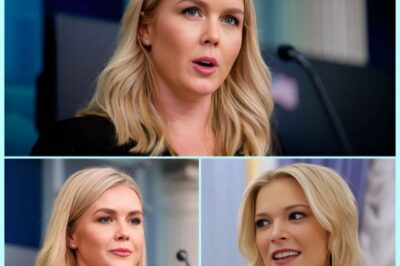 TV CHAOS: Karoline Leavitt Topples The View—Megyn Kelly’s 11-Word B0MBSHELL Leaves TV Industry in SH0CK  A single joke spiraled into a courtroom showdown, sending panic through The View’s ranks.  Karoline Leavitt brought the heat, but it was Megyn Kelly’s razor-sharp 11-word response that delivered the knockout blow—turning a lawsuit into a media earthquake.