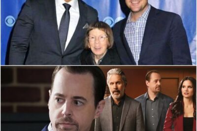 NCIS Stuns Fans By Bringing Back Beloved Star And Sparking Wild Theories That The Long Running Hetty Mystery Is Finally About To Be Solved