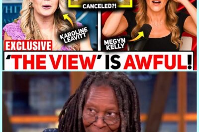 SURPRISE! MEGYN KELLY STANDS WITH KAROLINE LEAVITT AFTER SHE DESTROYS THE VIEW IN $800 MILLION COURTROOM SHOWDOWN! In a legal battle no one saw coming, Karoline Leavitt took on The View—and won big, leaving the hosts stunned and the nation talking. Now, Megyn Kelly is throwing her full support behind Leavitt, calling the verdict a “game-changer” and praising her for exposing the truth. What happened inside that courtroom, and why is this $800 million case sending sh0ckwaves through the media world? The fallout is just beginning, and everyone’s picking sides.