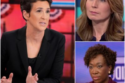 MELTDOWN: MSNBC Faces Mass Exodus And Power Struggles As Viewers Abandon Ship