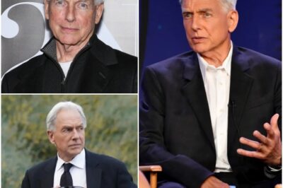 New Detail About Mark Harmon’s Real Life Has Fans Looking At Every Gibbs Boat Scene In A Whole New Way