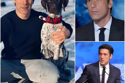 ABC SHOCKER: The Quiet Bombshell That Rocked America’s Most Trusted Newsroom—And Left David Muir at a Crossroads 😱  David Muir didn’t slam his fist on the anchor desk. He didn’t storm out of the studio, didn’t call a press conference, didn’t leak a resignation letter to the press. He didn’t need to. All it took was a single, almost offhand sentence—uttered in that famously calm, unflappable tone—and suddenly, the entire world of American television news was holding its breath…