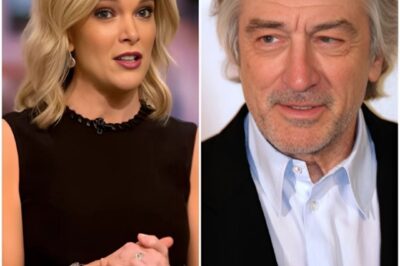 Robert De Niro Silences Megyn Kelly Live On Air With Eight Chilling Words—Fans Say They’ve Never Seen Her So Speechless  What began as a heated exchange between Megyn Kelly and Hollywood legend Robert De Niro took a jaw-dropping turn when Kelly lobbed a stinging insult at the actor, calling him “extremely stupid” in front of millions. Viewers braced for fireworks, but De Niro stunned everyone by keeping his cool—then calmly delivered just eight words that left Kelly completely speechless. No shouting, no drama—just a quiet comeback so powerful, it stopped the entire studio in its tracks. So, what exactly did De Niro say that turned the tables and left fans buzzing? The answer is even more shocking than you’d expect…