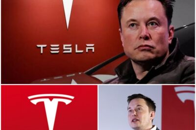 🚨 ELON MUSK’S WARNING THAT COULD BREAK TESLA SHORTS 🚨 In a chilling message to Wall Street, Elon Musk has put short-sellers on notice: “If you don’t exit before Tesla hits autonomy at scale, you will be obliterated.”  The remark has already sent shockwaves across markets, sparking urgent debates about what he knows that others don’t. 👉 Is this the beginning of a historic short squeeze? Or a warning no one should ignore?