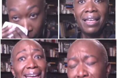 Watch Host’s Face When MSNBC Star Exposes How She Was Fired—No Warning, No Reason, Just Gone!