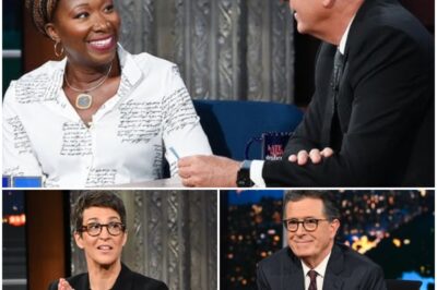 BIG BANG: Rachel Maddow Quietly Launches a Newsroom MSNBC Never Dreamed Of—With Stephen Colbert & Joy Reid at Her Side!