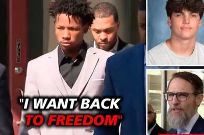 After Karmelo Anthony’s Speech In Court Metcalf Family Was SHOCKED