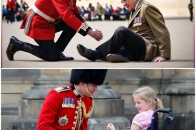 Royal Guards Break Character in the most Heartfelt Moments