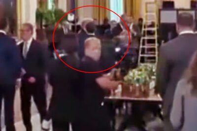 VIDEO: Hot Mic Captures Donald Trump’s “Crazy” 8-Word Message He Whispered To French President Emmanuel Macron About Putin Before Their Global Summit