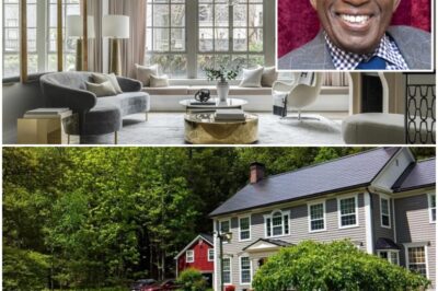 Al Roker leaves NBC viewers green with envy as he unveils his stunning 30th wedding anniversary gift to Deborah Roberts — a breathtaking country mansion! The beloved TODAY host secretly secured the dreamy estate as a future retreat for the couple to enjoy after retirement. Its jaw-dropping beauty, worth just shy of a fortune, even had his co-hosts joking about lining up for a guest stay
