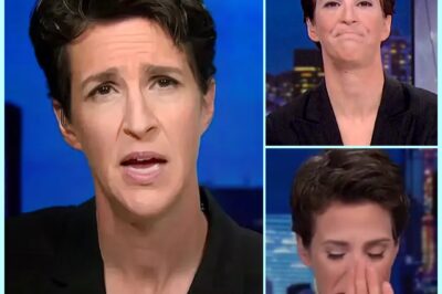 Unforgettable NIGHT On MSNBC: Rachel Maddow’s TEARS Shock Viewers As She Struggles To Speak Through America’s Deepest HEARTACHE