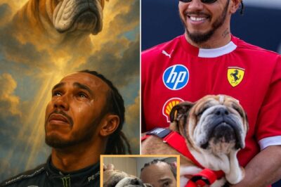 Lewis Hamilton has shared heartbreaking news about his beloved dog Roscoe. 💔 After struggling to breathe from pneumonia, Roscoe’s heart stopped during treatment — vets revived him, but he is now in a coma. 😢 Hamilton hasn’t left his side and is asking fans for prayers and support. 🙏 This emotional update has touched millions around the world. 👇