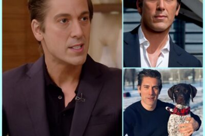 BREAKING: The Quiet B0MBSHELL That Rocked America’s Most Trusted Newsroom, And Left David Muir at a Crossroads