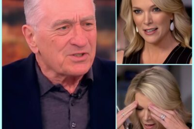 Robert De Niro DESTR0YS Megyn Kelly In Real Time With Eight Piercing Words—Fans Call It The Most Awkward Silence In TV History