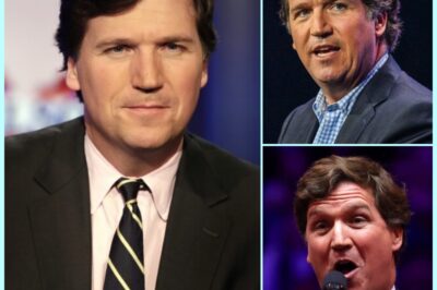 “THE NETWORKS ARE THE REAL STARS!”