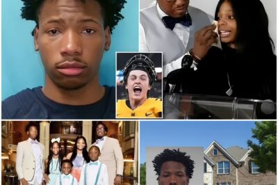 “Did They Plan It All?”