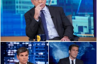 EXCLUSIVE NEWS : George Stephanopoulos ‘at war with another ABC staffer who wants his job’ amid ongoing David Muir feud