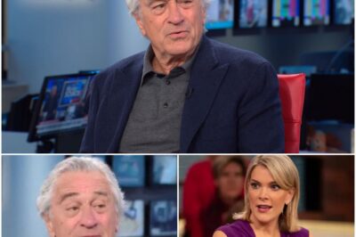 “I DON’T CARE WHAT YOU THINK OF ME”: Robert De Niro’s Eight Words That Silenced Megyn Kelly—and America