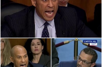 “It All Ends Tonight”: