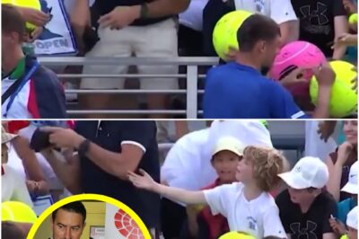BREAKING: ‘JUST A MISUNDERSTANDING’ Millionaire CEO hat snatcher breaks silence after grabbing tennis star’s cap from child at US Open