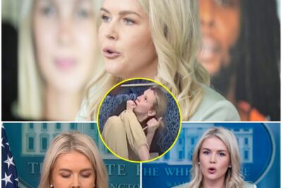 ‘A BUNCH OF MONSTERS’