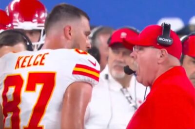 “He Didn’t Hold Back…” Andy Reid Reveals What He Really Thought of Travis Kelce’s Sideline Blow-Up