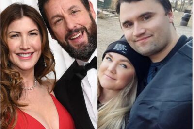 HOLLYWOOD JUST SHOT BACK