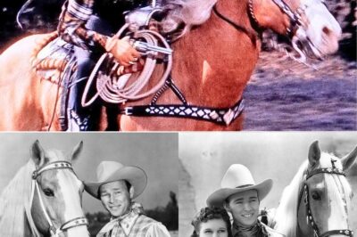 THE HORSE THAT NEVER DIED — BECAUSE ROY ROGERS WOULDN’T LET HIM. They said Roy Rogers could charm an entire crowd with just a song and a smile — but his truest duet was never with a person. It was with a golden horse named Trigger. Under the desert sun and silver studio lights, the two became inseparable — not man and animal, but two souls stitched together by destiny. When Roy sang of loyalty, it was Trigger who listened. When he rode into danger, it was Trigger who carried him home. In the late 1930s, Hollywood found its hero, but America found something deeper — a bond so pure it made grown men believe in friendship again. Trigger could bow, rear, even count with his hooves, but what made him unforgettable wasn’t tricks; it was heart. When Trigger passed in 1965, something inside Roy went quiet. Friends said he’d walk the ranch at dusk, whispering, “See you at sunset, old friend.” And maybe that’s why he never truly let him go — because some legends don’t end. They simply ride on, across the horizon, where loyalty never fades and the cowboy always finds his way home. 🐎 ▶️Listen this song in the 𝗳𝗶𝗿𝘀𝘁 𝗰𝗼𝗺𝗺𝗲𝗻𝘁 👇