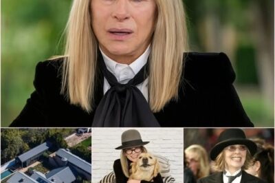 “Something Changed So Suddenly…” Barbra Streisand’s Emotional Tribute Raises Questions About Diane Keaton’s Final Months