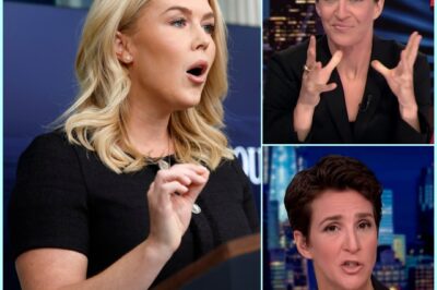 LIVE SHOW SH0CKER: Karoline Leavitt and Rachel Maddow’s Explosive On-Air Showdown Stuns Viewers—“How Could You Be So Stupid?” Sparks Media Frenzy Rachel Maddow DEMANDS Security to REMOVE Karoline Leavitt from Set After Explosive Confrontation! In a shocking turn of events, Rachel Maddow demanded security remove Karoline Leavitt from the set after a fiery exchange that quickly escalated beyond control. The intense confrontation left the studio in chaos as Leavitt’s bold remarks pushed Maddow to the brink. What was said that triggered Maddow to take such drastic action, and how did the situation spira…