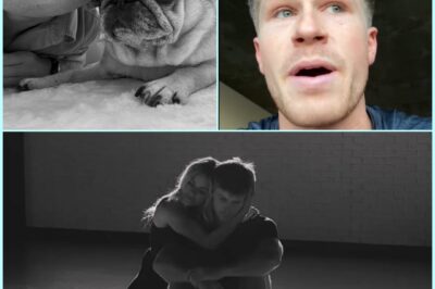 SAD NEWS: Robert Irwin shares heartbreaking news about his ‘best friend’ dog Stella as DWTS co-stars flood the comments with support