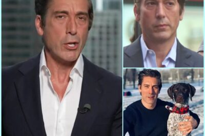 HEARTBREAKING: The Quiet BOMBSHELL That Rocked America’s Most Trusted Newsroom And Left David Muir at a Crossroads