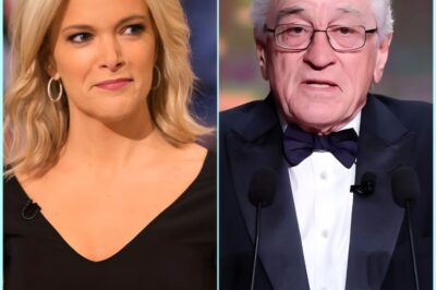 BREAKING: Robert De Niro Silences Megyn Kelly Live On Air With Eight Chilling Words—Fans Say They’ve Never Seen Her So Speechless