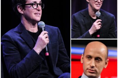 “I Don’t Debate Monsters. I Expose Them.” — Rachel Maddow’s On-Air Takedown Leaves Stephen Miller Shattered and Washington Reeling. He showed up to defend his wife. He walked off with his reputation in ashes. In a moment that’s already being called the most brutal TV reckoning of the year, Rachel Maddow didn’t raise her voice—she dropped the truth. One devastating line silenced the room: “You want to talk morals, Stephen?” The uncompromising interrogation on live television pushed Stephen into a corner — silent and exposed. The whole studio was filled with a chilling atmosphere. Just a few seconds later, millions witnessed a collapse happen right before their eyes. What secrets did she just drag into the light—and why is Washington suddenly scrambling to do damage control? Must-See Details and Shocking Moments I.n.s.i.d.e!