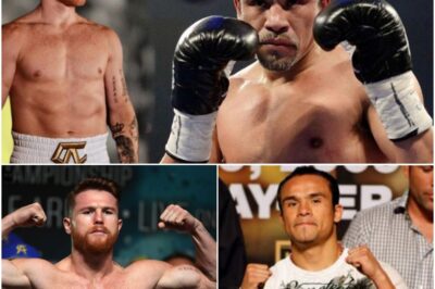 “I’D FIGHT YOU!” — CANELO DROPS BOMBSHELL CHALLENGE TO MÁRQUEZ: “IF I LOSE, I’LL RETIRE” — NO EXCUSES, NO MERCY. In a shock declaration that’s already set boxing tongues wagging, Canelo Álvarez answers Juan Manuel Márquez’s taunts with an earth-shattering dare — and a career-ending promise if he comes up short. He swears this won’t be Pacquiao’s script: “I’m going to knock you out.” What’s the real score behind the bravado — and is the bout about to become the sport’s most dangerous spectacle?K