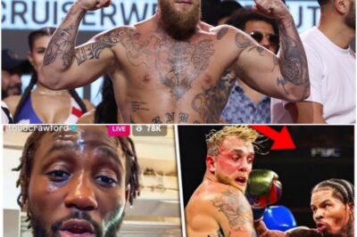 SHOCKING TRUTH REVEALED! Top Boxing Pros EXPOSE Why Jake Paul Has ZERO CHANCE Against Gervonta Davis — The Ultimate Underdog Gets DESTROYED Before the Fight Even Begins!K