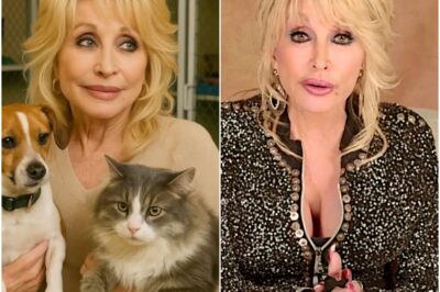 HEARTWARMING NEWS: Dolly Parton MELTS Hearts With $1 Million Pledge To Build Luxury Sanctuary For Homeless Dogs & Cats 🐾Country icon Dolly Parton has announced a $1 million donation to launch a state-of-the-art animal sanctuary, giving abandoned pets a second chance at life. The star — long known for her compassion — says the project is her way of “singing for the voiceless.” Fans are calling it her sweetest hit yet.K