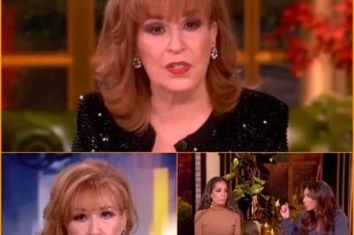 ‘The View’ Makes Big Show Changes For Joy Behar After Injury! The View has made big show changes for Joy Behar after her injury. This comes after she broke her toe. However, fans noticed the change and spoke about the situation. Joy Behar has had to be careful on her foot after hurting it. Fans love the support she is getting from the show and her costars. Continue reading to find out more about this situation.