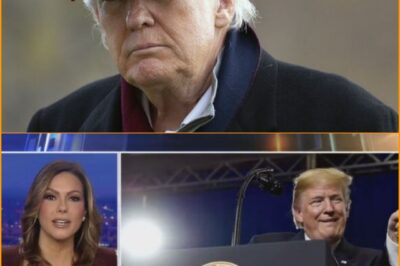 BREAKING: Fox News paused for ‘declining’ T.r.u.m.p health bombshell