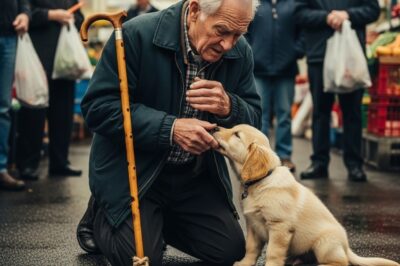 An Old Man Saw a Puppy Tied Up in a Corner — What Happened When He Threw His Cane Left the Whole Market in Tears