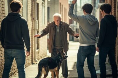 An Old Man Threw His Cane at a Group of Teens Beating a Dog — What He Did Next Made the Whole Street Cry.