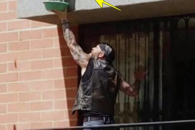 I Thought He Was a Criminal—But What This Biker Did on That Balcony Left the Whole Neighborhood in Tears.