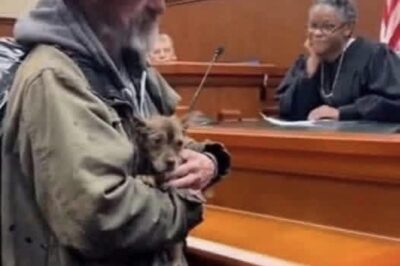 He was told he couldn’t bring his dog into the courtroom. But he refused to leave him. Now, he stood before the judge, ready to accept any punishment, as long as they didn’t take away the only family he had left.
