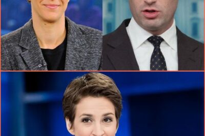 “I Don’t Debate Monsters. I Expose Them.” — Rachel Maddow’s On-Air Takedown Leaves Stephen Miller Shattered and Washington Reeling. He showed up to defend his wife. He walked off with his reputation in ashes. In a moment that’s already being called the most brutal TV reckoning of the year, Rachel Maddow didn’t raise her voice—she dropped the truth. One devastating line silenced the room: “You want to talk morals, Stephen?” The uncompromising interrogation on live television pushed Stephen into a corner — silent and exposed. The whole studio was filled with a chilling atmosphere. Just a few seconds later, millions witnessed a collapse happen right before their eyes. What secrets did she just drag into the light—and why is Washington suddenly scrambling to do damage control? Must-See Details and Shocking Moments Inside!