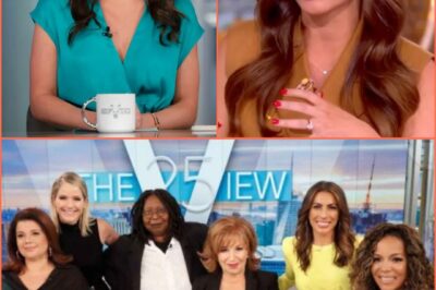 “OH MY GOD!” Chaos erupted on The View when Alyssa Farah Griffin suddenly dropped a shocking “family joy” bombshell live on air. Her co-hosts were left speechless, the audience gasped in disbelief, and viewers at home couldn’t believe what they were hearing. The stunning revelation has everyone buzzing with questions.