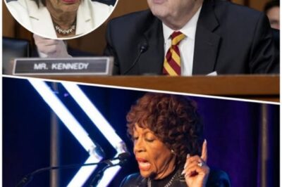 THE LINE IS CROSSED: Senator John Kennedy Just Called Out Maxine Waters on the Senate Floor – “The Voices In Your Head AREN’T REAL.” The Chamber FROZE. (See The Uncut 31-Second Silence) It was supposed to be a routine financial hearing, but it turned into a career-defining catastrophe broadcast to 89 million people. Senator John Neely Kennedy (R-LA) didn’t just disagree with Rep. Maxine Waters (D-CA); he delivered an ice-cold, precise demolition of her entire economic legacy, climaxing with a line that stopped the heart of the U.S. Senate: “The voices in your head aren’t real.” What followed was an agonizing 31 seconds of dead air that saw the formidable Waters’ composure shatter live on camera. We have the numbers, the secret FOIA emails, and the quote that led to $2.3 BILLION in lost loans—everything Kennedy slammed down on the table. Click below to see the exact moment the political world stopped spinning