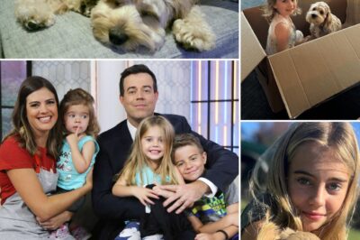 Carson Daly’s family has just reached an unexpected new milestone: they’ve welcomed their very first dog. And this Halloween is set to be more special than ever — it’s the first time Carson, his wife Siri, and their four children, Jackson, Etta, London, and Goldie, will be celebrating as a pet-owning family.  The moment their new pup arrived instantly filled the Daly household with warmth, and fans can’t stop buzzing about the adorable “first introduction.