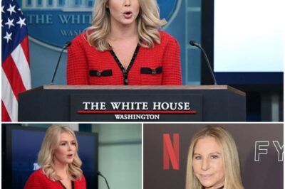 “You can’t own my voice,” Barbra Streisand said — calm, steady, but burning with conviction. “I speak for every woman who ever had to sing louder just to be heard. You’re nothing but a hypocrite.” Ka.roline Le.avitt’s face flushed as she shot up from her chair. “Hypocrite?!” she snapped, her tone sharp and trembling. “I stand for real American values — something your Hollywood privilege could never understand!” Barbra ….