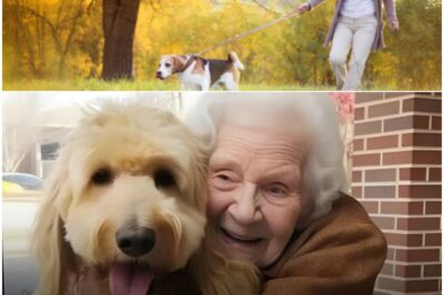 “I’ve Lived Over a Century Because My Heart Was Never Alone” — The Remarkable Bond Between a Woman and Her Dogs That Defied Time